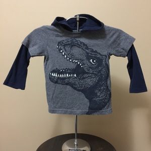 Boys size 2T Shirt with Long Sleeves & Hood